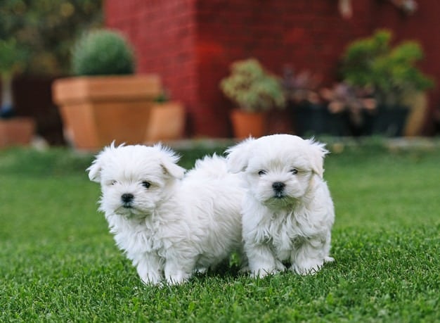 WhatsApp-Image-2020-09-22-at-17.08.43